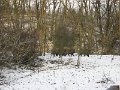 Polovnicke zdruzenie-Lipie   126